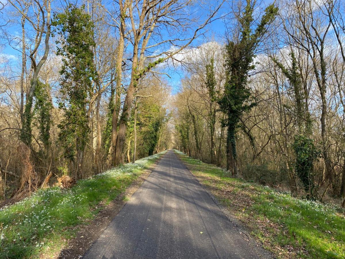Studio Indre Climatise, La Halte De Cuze, Aux Abords De La Loire A Velo Huismes Exterior foto