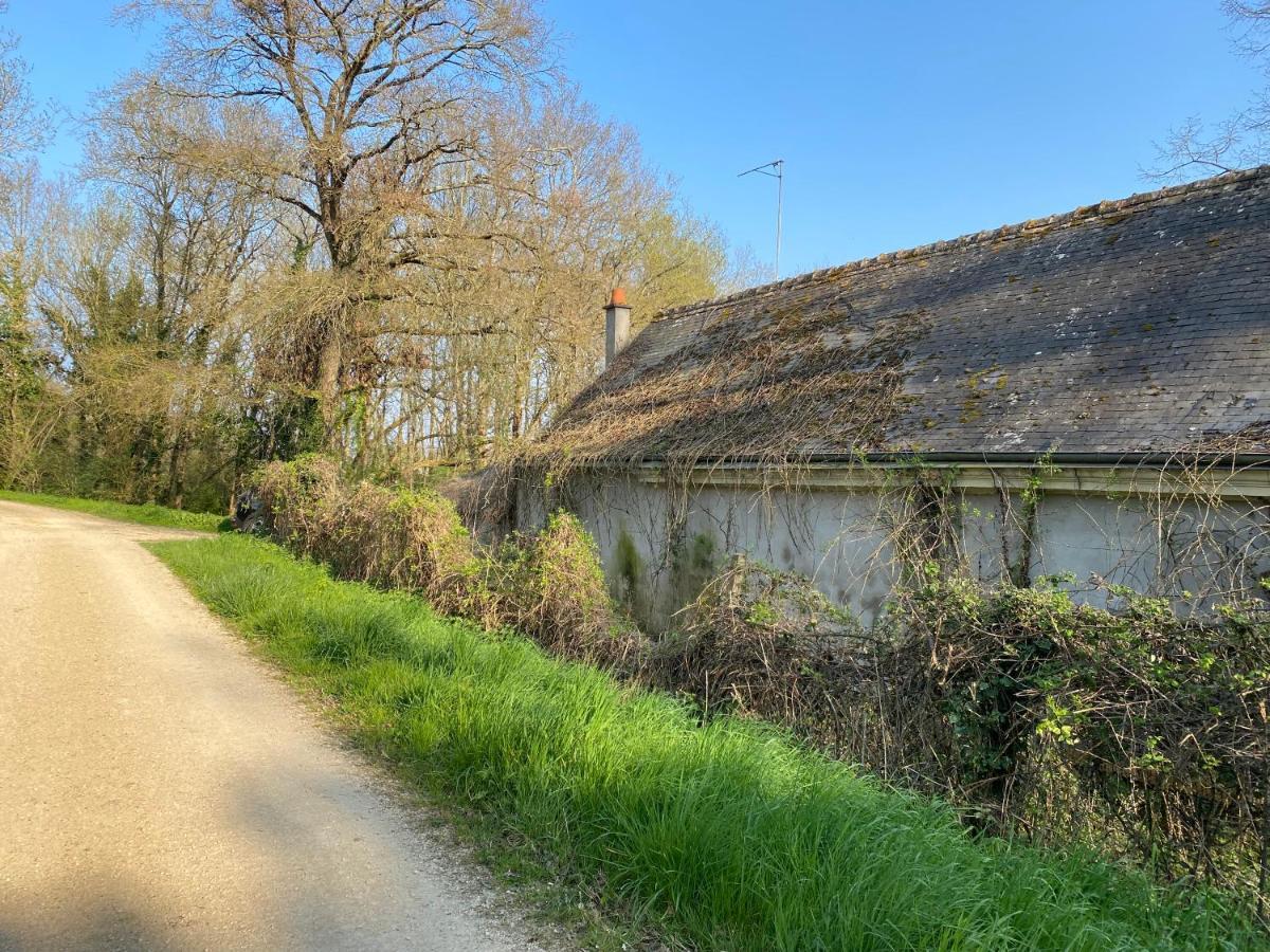 Studio Indre Climatise, La Halte De Cuze, Aux Abords De La Loire A Velo Huismes Exterior foto